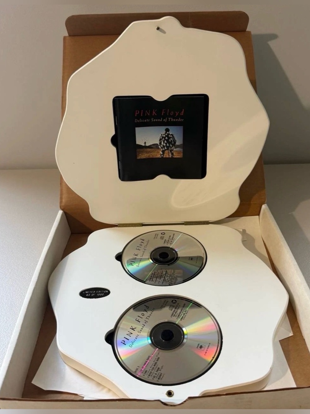RARE Pink Floyd Delicate Sound Of Thunder Wooden Box CD Set #63/1000 Mint C2K